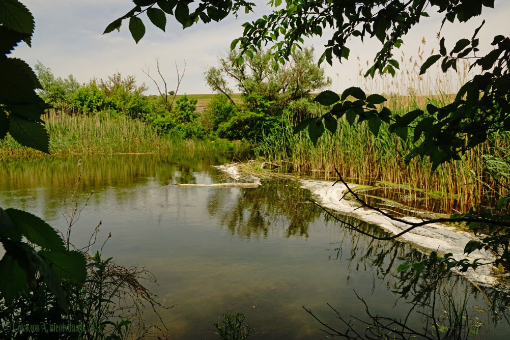 Водяная мельница в хуторе Грушевка на реке Кундрючьей