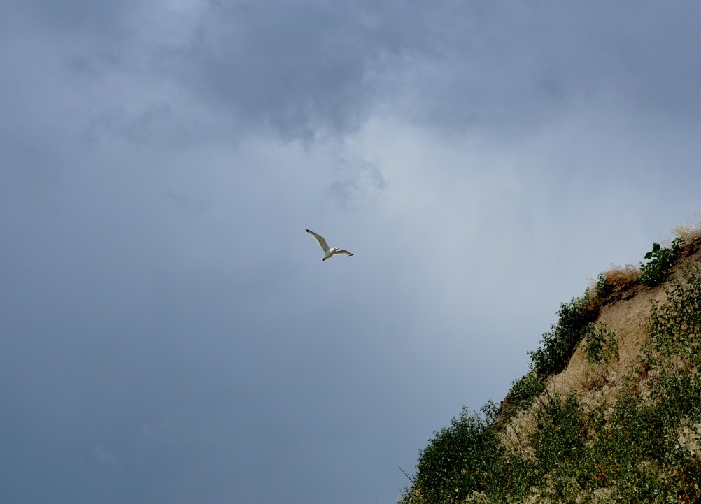 Азовское побережье у поселка Приазовский