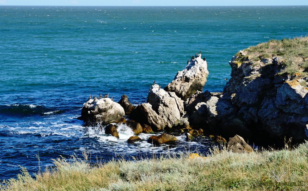Прогулки по заповеднику на полуострове Казантип. По скалам и пляжам в обществе птиц и медуз