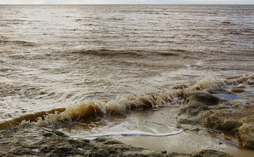 Берег Азовского моря у хутора Рожок в январе