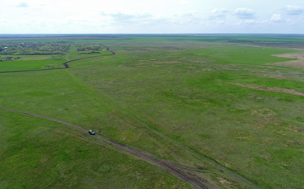 Водно-болотные угодья на берегах Весёловского водохранилища на Маныче.