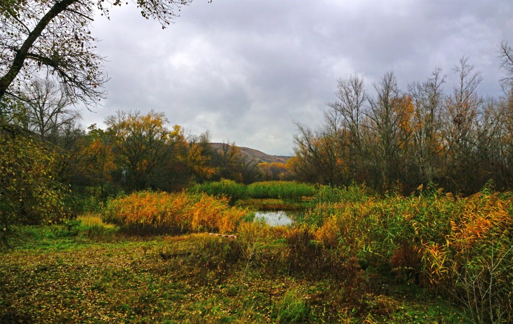 Осень на песчаных холмах по берегу Сухого Донца у хуторов Ольховый и Виноградный
