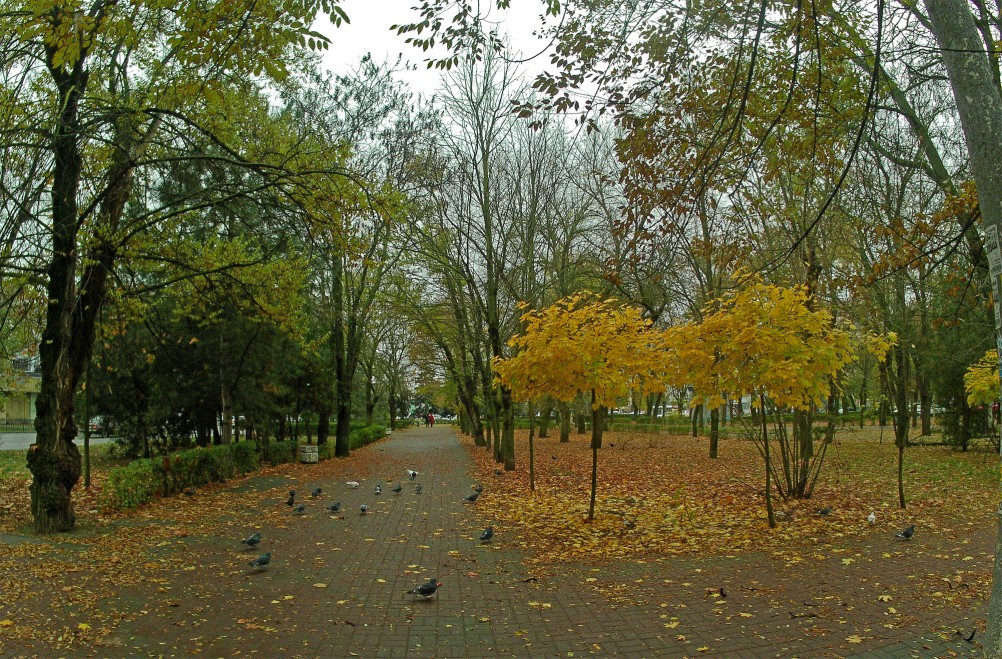 Осень в городе Ростове-на-Дону