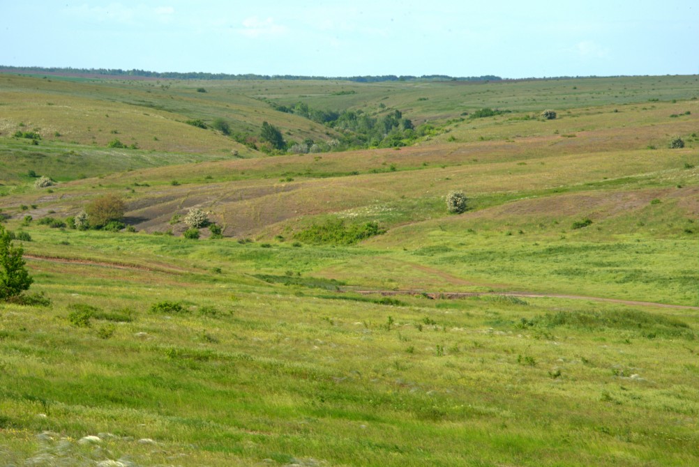 Остатки водяных мельниц в хуторе Дубовом на реке Кундрючьей