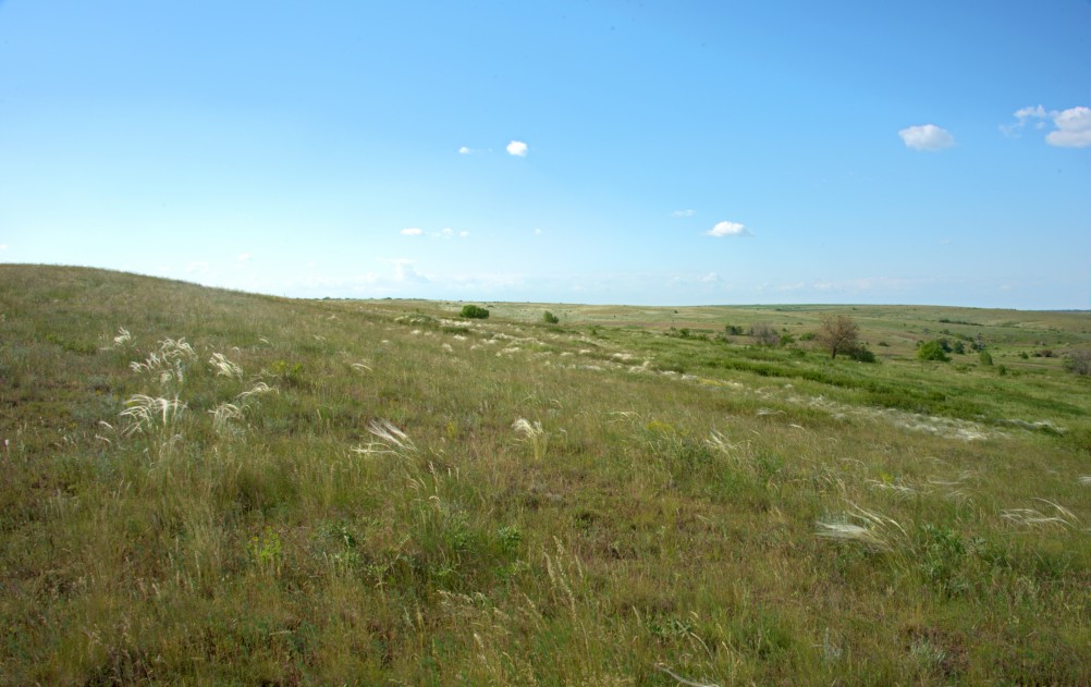 Остатки водяных мельниц в хуторе Дубовом на реке Кундрючьей