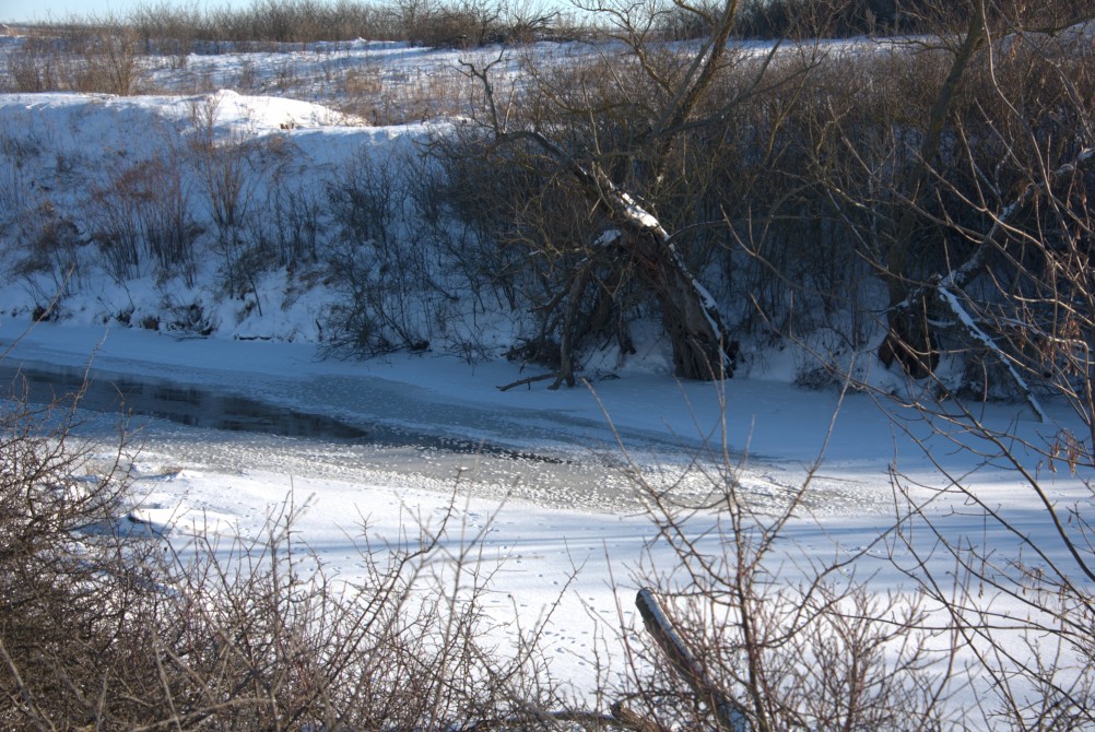 Снежно и морозно во всём крае нашем, и в долине Кундрючей, и на Прохоровских скалах