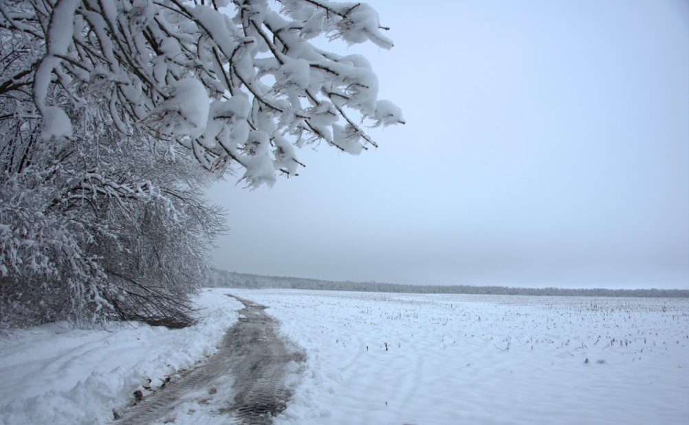 Снегопад и ледяной дождь в Донлесхозе и окрестностях
